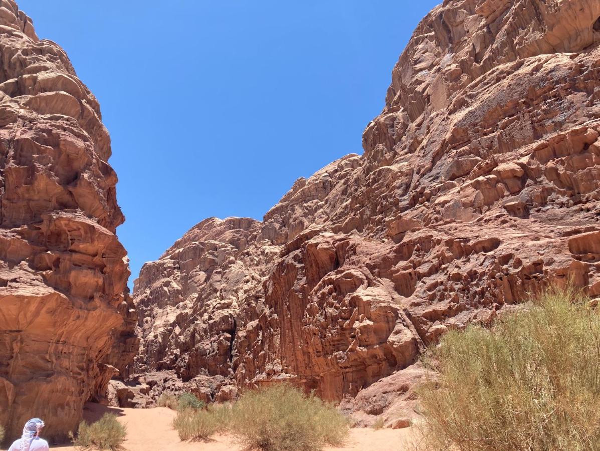 Bedouin Host Camp& With Tour Hotell Wadi Rum Eksteriør bilde